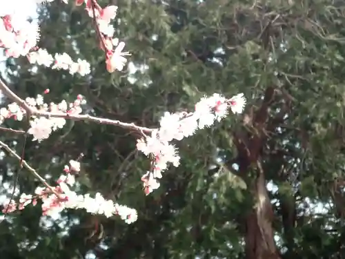 冨士御室浅間神社(山梨県)