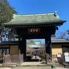 豪徳寺(東京都)