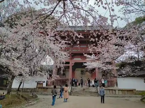 醍醐寺(京都府)
