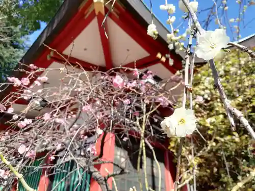 居木神社の自然
