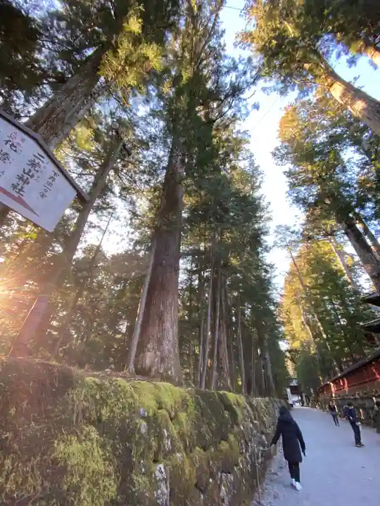日光二荒山神社のその他建物