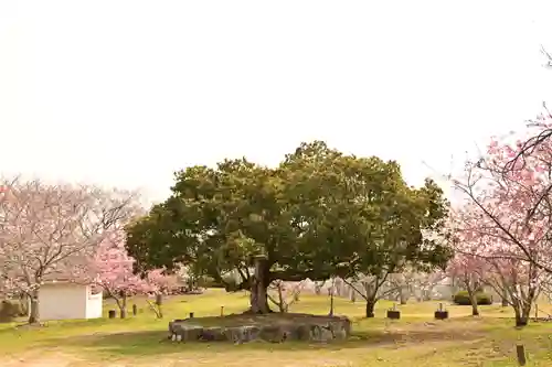 理正院(愛媛県)
