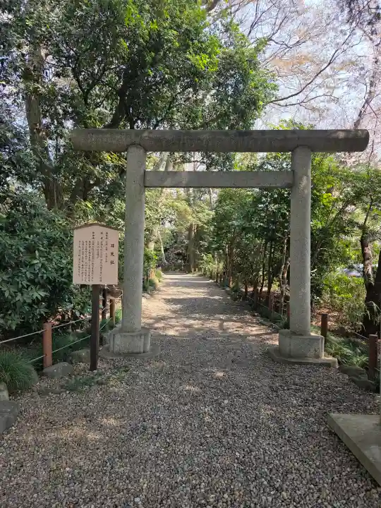 櫻木神社の{uncategorized: "未分類", other: "その他", undefined: "問題あり", building: "その他建物", grave: "お墓", sacred_gate: "鳥居", guardian: "狛犬", statue: "像", buddha: "仏像", history: "歴史", nature: "自然", garden: "庭園", animal: "動物", pagoda: "塔", temizu: "手水舎", mountain_gate: "山門・神門", sanctuary: "本殿・本堂", subordinate: "末社・摂社", art: "芸術", scenery: "景色", jizo: "地蔵", ema: "絵馬", goshuin: "御朱印", omikuji: "おみくじ", items: "授与品その他", amulet: "お守り", goshuincho: "御朱印帳", eats: "食事", festival: "お祭り", votive_dance: "神楽", shichigosan: "七五三参", wedding: "結婚式", experience: "体験その他", initially: "初詣", around: "周辺", anti_infection: "感染症対策"}