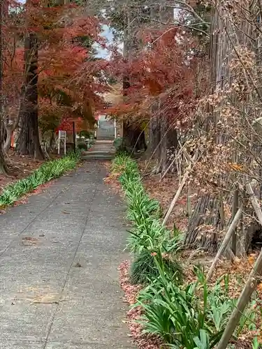 八幡宮(茨城県)