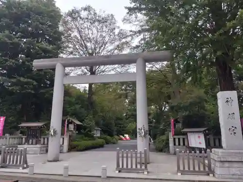 阿佐ヶ谷神明宮の鳥居