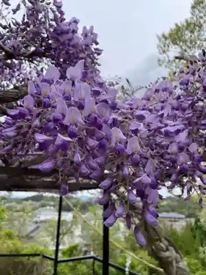 原谷弁財天(京都府)