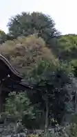 大豊神社(京都府)