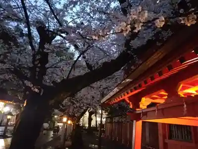 花園神社(東京都)