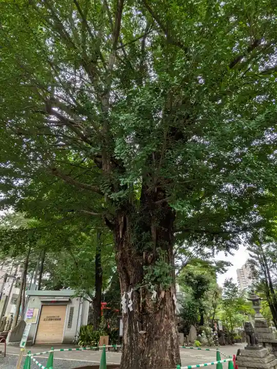 鳩森八幡神社(東京都)
