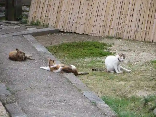 智恩寺(京都府)