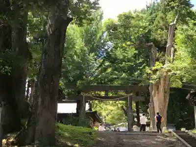 諏訪大社上社前宮(長野県)