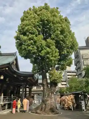 湯島天満宮のその他建物