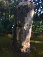 子安神社の自然