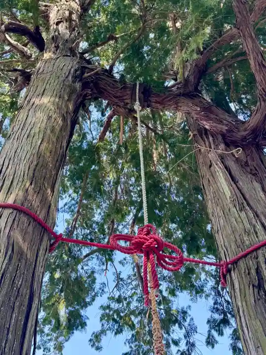 武雄神社の{uncategorized: "未分類", other: "その他", undefined: "問題あり", building: "その他建物", grave: "お墓", sacred_gate: "鳥居", guardian: "狛犬", statue: "像", buddha: "仏像", history: "歴史", nature: "自然", garden: "庭園", animal: "動物", pagoda: "塔", temizu: "手水舎", mountain_gate: "山門・神門", sanctuary: "本殿・本堂", subordinate: "末社・摂社", art: "芸術", scenery: "景色", jizo: "地蔵", ema: "絵馬", goshuin: "御朱印", omikuji: "おみくじ", items: "授与品その他", amulet: "お守り", goshuincho: "御朱印帳", eats: "食事", festival: "お祭り", votive_dance: "神楽", shichigosan: "七五三参", wedding: "結婚式", experience: "体験その他", initially: "初詣", around: "周辺", anti_infection: "感染症対策"}