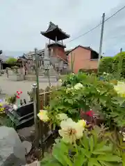 本覚寺の建物その他