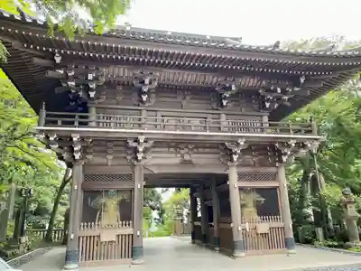 高尾山薬王院の山門・神門