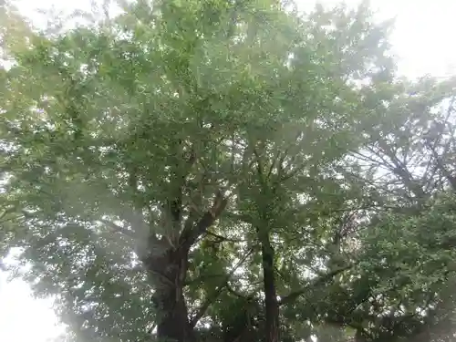 白笹稲荷神社(神奈川県)