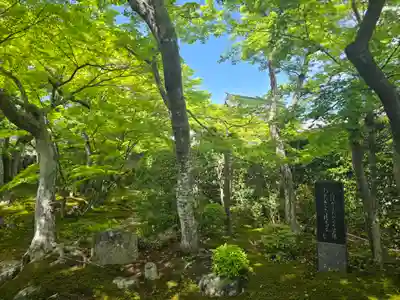 宝青院(京都府)