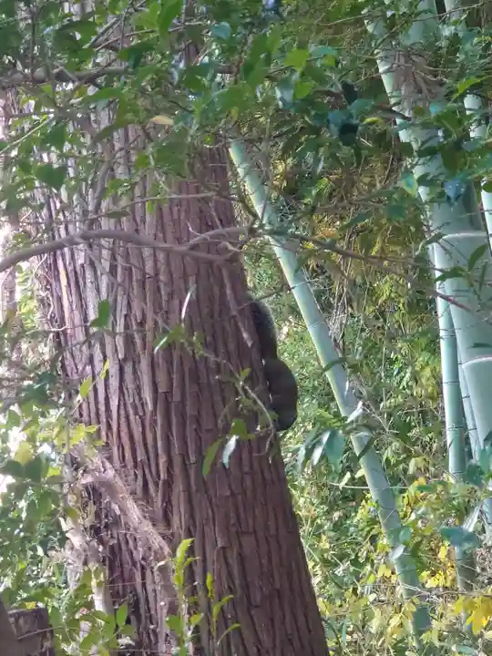 舞岡八幡宮(神奈川県)