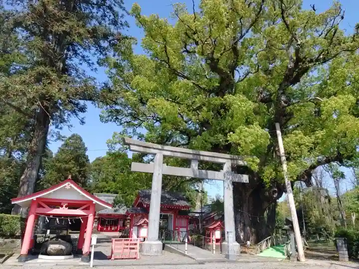 山宮神社(鹿児島県)