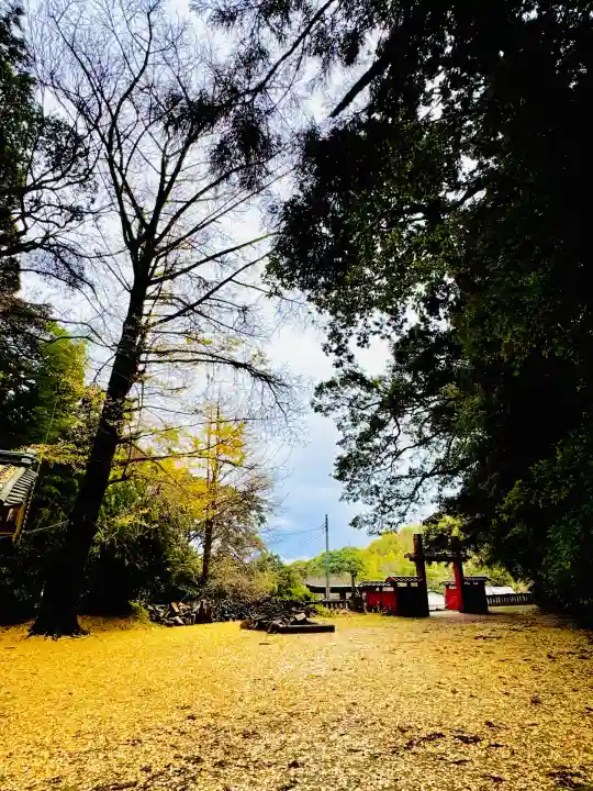 八幡宮來宮神社(静岡県)