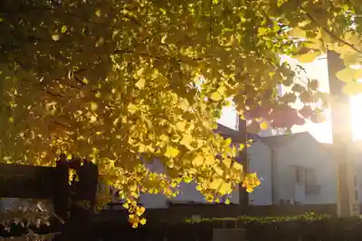 飛木稲荷神社(東京都)
