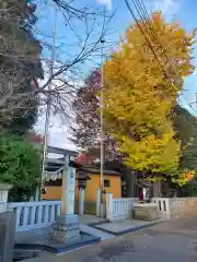 星宮神社(栃木県)