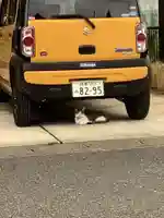 御嶽神社茅萱宮の動物