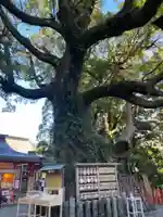 熊野那智大社(和歌山県)