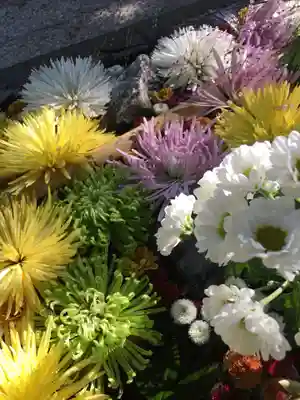 札幌護國神社の手水舎