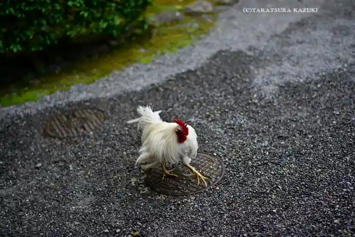 伊勢神宮内宮(皇大神宮)(三重県)