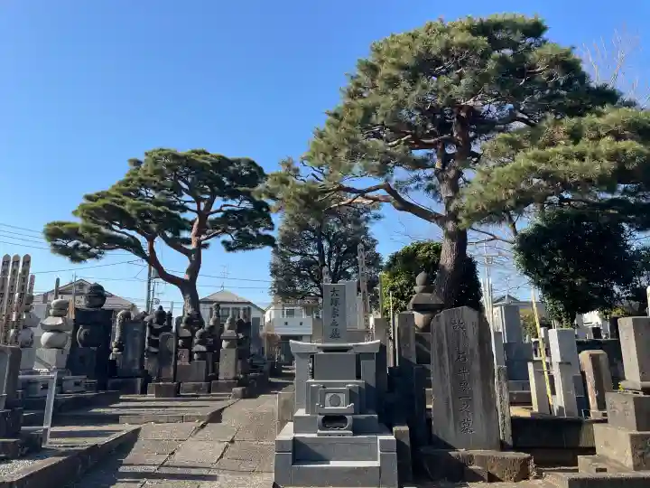 東長谷寺 薬王院の{uncategorized: "未分類", other: "その他", undefined: "問題あり", building: "その他建物", grave: "お墓", sacred_gate: "鳥居", guardian: "狛犬", statue: "像", buddha: "仏像", history: "歴史", nature: "自然", garden: "庭園", animal: "動物", pagoda: "塔", temizu: "手水舎", mountain_gate: "山門・神門", sanctuary: "本殿・本堂", subordinate: "末社・摂社", art: "芸術", scenery: "景色", jizo: "地蔵", ema: "絵馬", goshuin: "御朱印", omikuji: "おみくじ", items: "授与品その他", amulet: "お守り", goshuincho: "御朱印帳", eats: "食事", festival: "お祭り", votive_dance: "神楽", shichigosan: "七五三参", wedding: "結婚式", experience: "体験その他", initially: "初詣", around: "周辺", anti_infection: "感染症対策"}