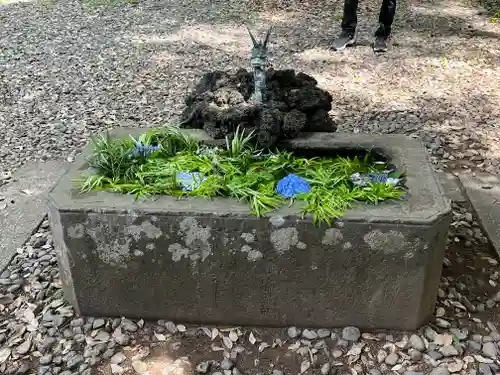 仙波東照宮(埼玉県)