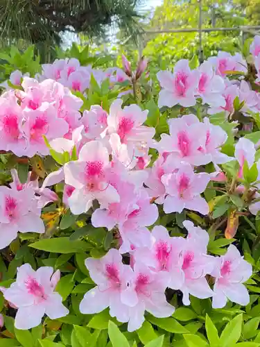 滋賀県護国神社の自然