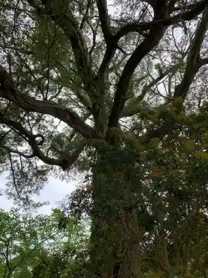 北辰神社の自然