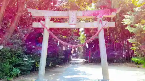 白山媛神社（上条白山媛神社）の鳥居