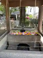 玉前神社の{uncategorized: "未分類", other: "その他", undefined: "問題あり", building: "その他建物", grave: "お墓", sacred_gate: "鳥居", guardian: "狛犬", statue: "像", buddha: "仏像", history: "歴史", nature: "自然", garden: "庭園", animal: "動物", pagoda: "塔", temizu: "手水舎", mountain_gate: "山門・神門", sanctuary: "本殿・本堂", subordinate: "末社・摂社", art: "芸術", scenery: "景色", jizo: "地蔵", ema: "絵馬", goshuin: "御朱印", omikuji: "おみくじ", items: "授与品その他", amulet: "お守り", goshuincho: "御朱印帳", eats: "食事", festival: "お祭り", votive_dance: "神楽", shichigosan: "七五三参", wedding: "結婚式", experience: "体験その他", initially: "初詣", around: "周辺", anti_infection: "感染症対策"}