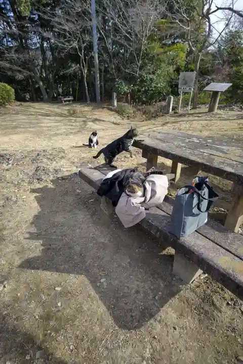 玉野御嶽神社の動物