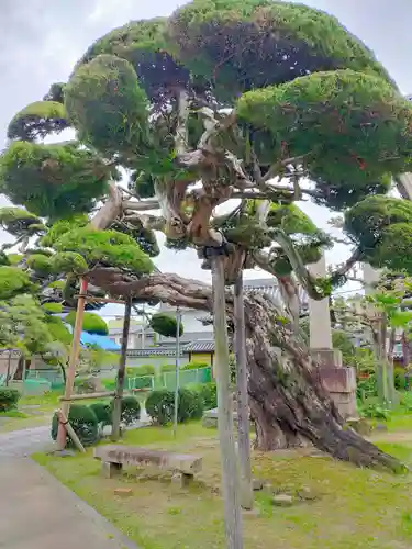 明厳寺(大阪府)