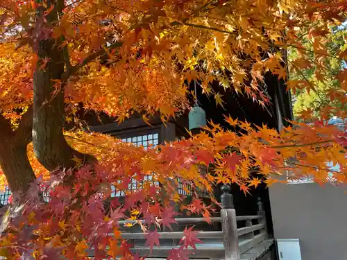 本土寺の景色