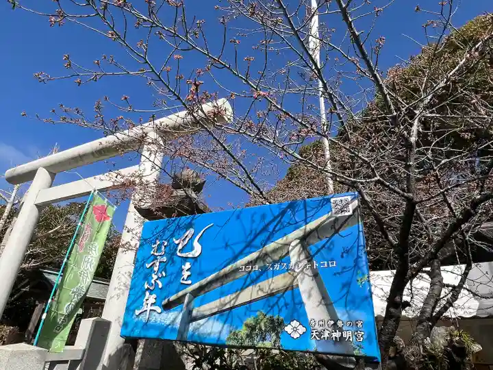 天津神明宮(千葉県)