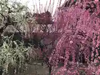 結城神社(三重県)