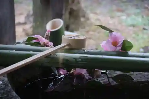 鹿島大神宮の手水舎