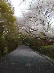 千手院(東京都)