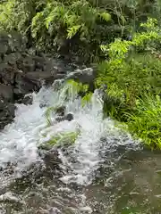 富士山本宮浅間大社(静岡県)