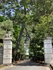 豪徳寺の山門