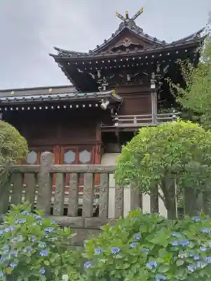 白山神社(東京都)