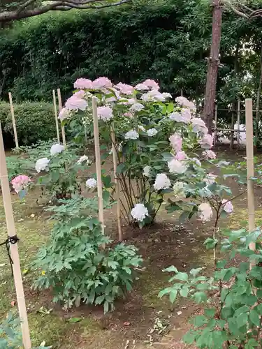 建長寺(神奈川県)
