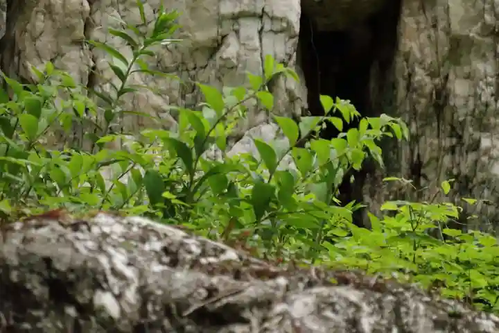 鹿島大神宮の自然