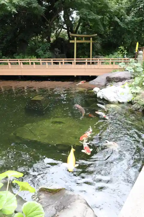 愛宕神社(東京都)